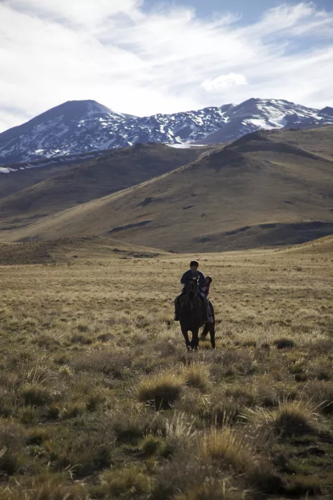 ON THE WAY TO SCHOOL - Stills