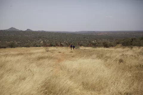 ON THE WAY TO SCHOOL - Stills