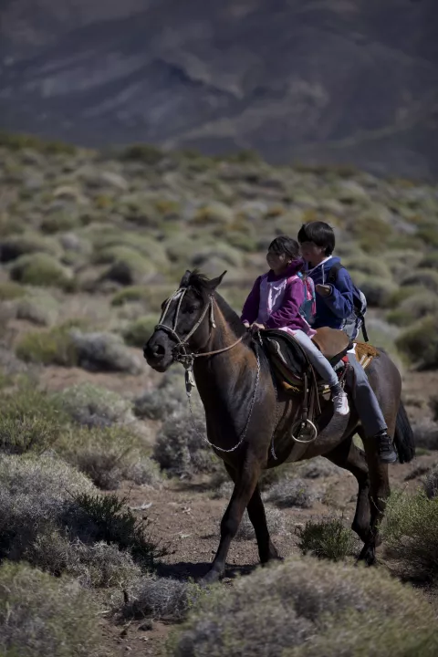 ON THE WAY TO SCHOOL - Stills