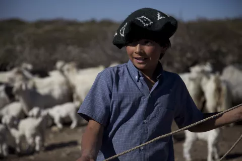 ON THE WAY TO SCHOOL - Stills