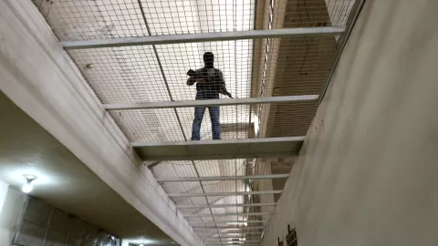 THE WILL TO SEE - Still