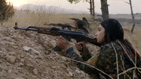 THE WILL TO SEE - Still