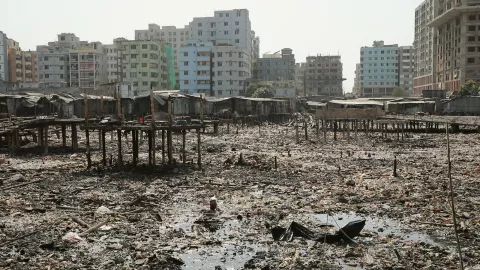 THE WILL TO SEE - Still