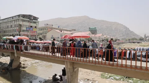 THE WILL TO SEE - Still