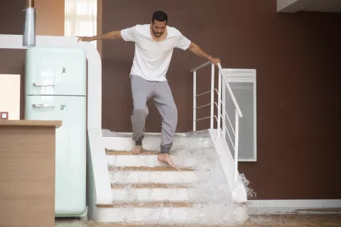 NATURAL BORN LIAR - Still