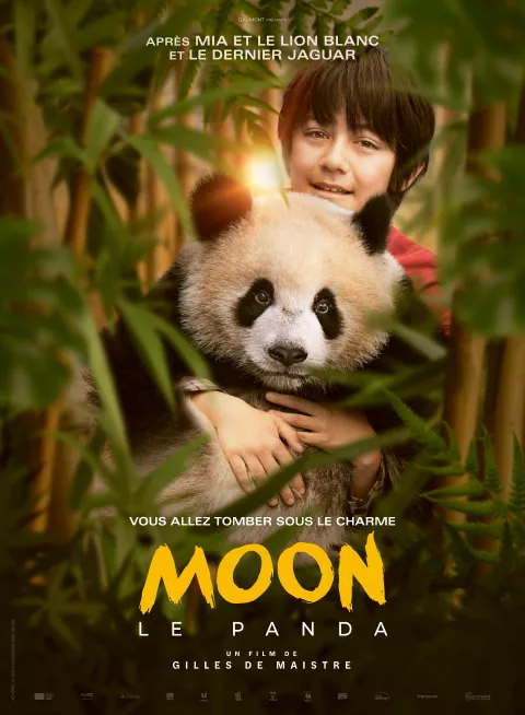 Affiches Moon