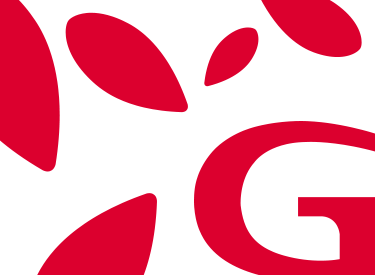 default image